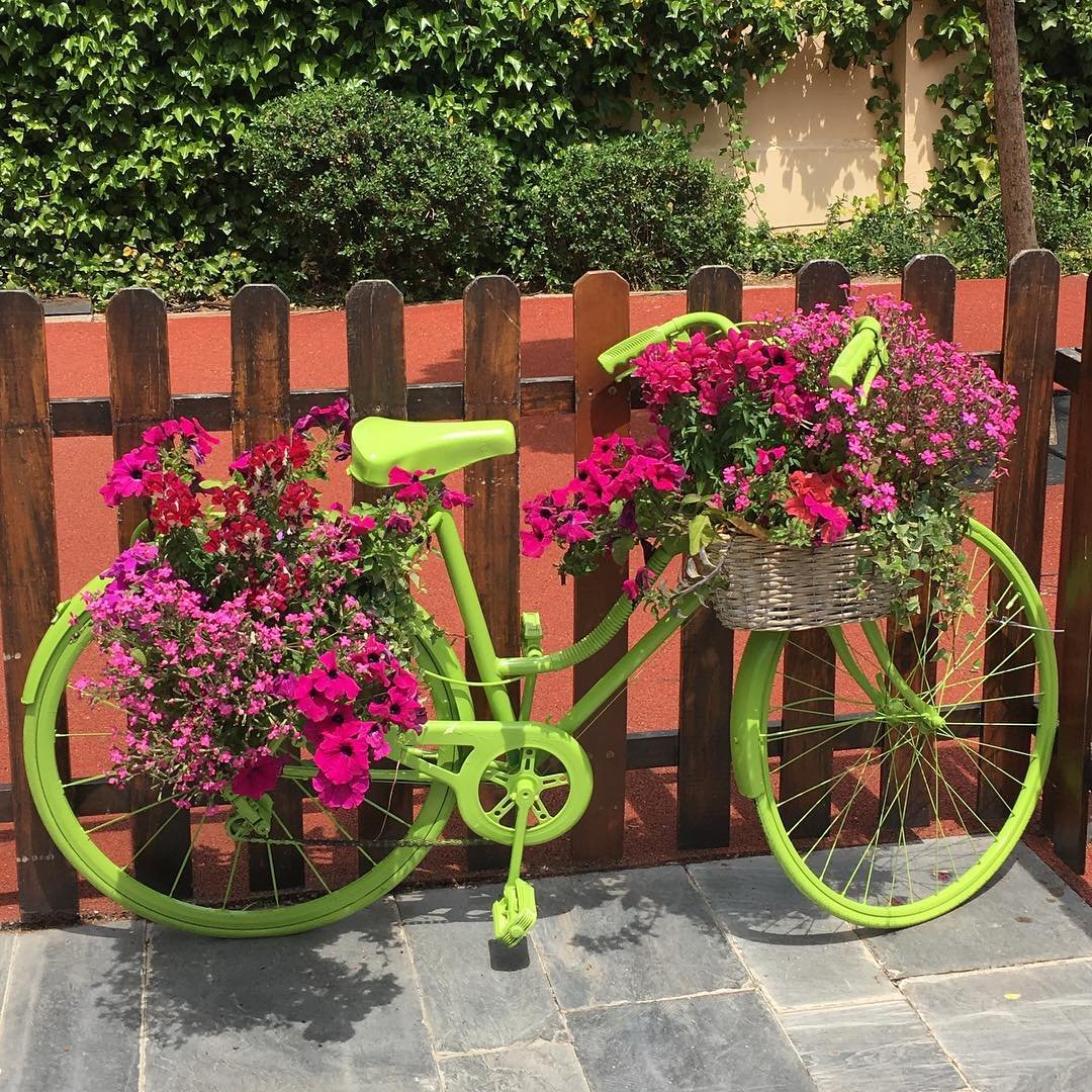 🌼🌺Primaveral bestial!!!!💐🌸
Este año es reventona!
👏🏻👏🏻👏🏻👏🏻👏🏻👏🏻 @betecologico
www.betecologico.es ♻️👩🏻‍🌾🌍
#betecologico #tiendaecologica #ecoshopper #compraecologica #nutricoaching  #superalimento #tehacemoslacompra
#nomasplastico
#desnudatucarro
#desnudalafruta
#sinpesticidas
#sintoxicos
#frutadetemporada
#verduradetemporada
#comecomoantes
#detox
#smoothiebowl
#healthy
#springtime
#primavera