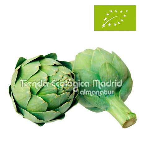 Alcachofas, el Kg (La Rioja)