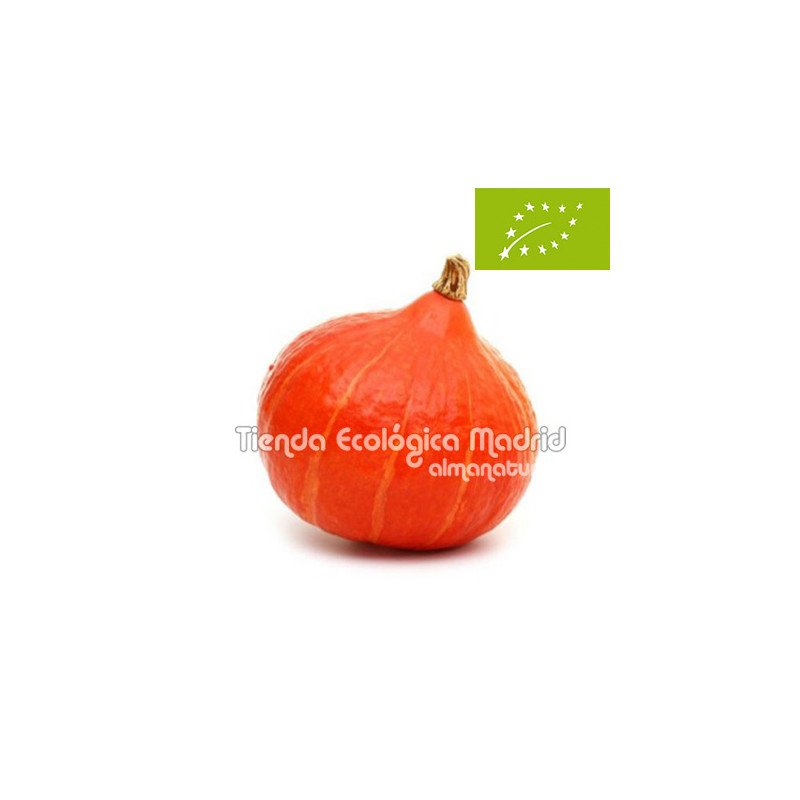 Calabaza Potimarrón, el Kg (Bélgica)