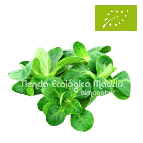 Canónigos, Bandeja de 100 Gr (Italia)