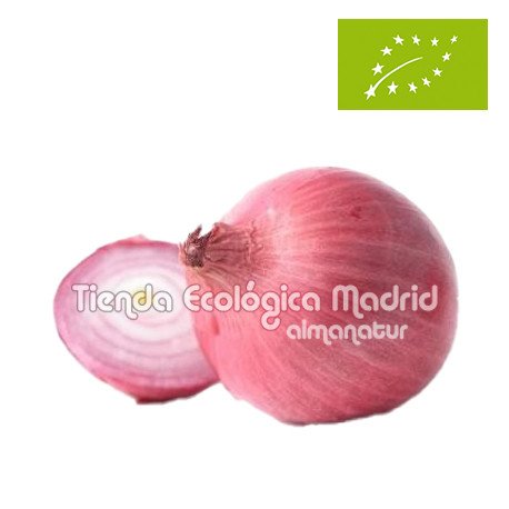 Cebolla Roja, el Kg (Castilla La Mancha)