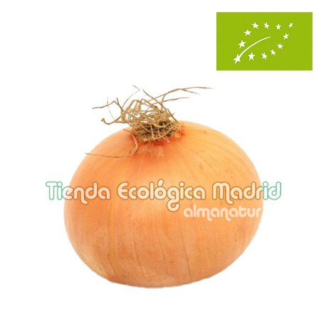 Cebollas, el Kg (Castilla La Mancha)