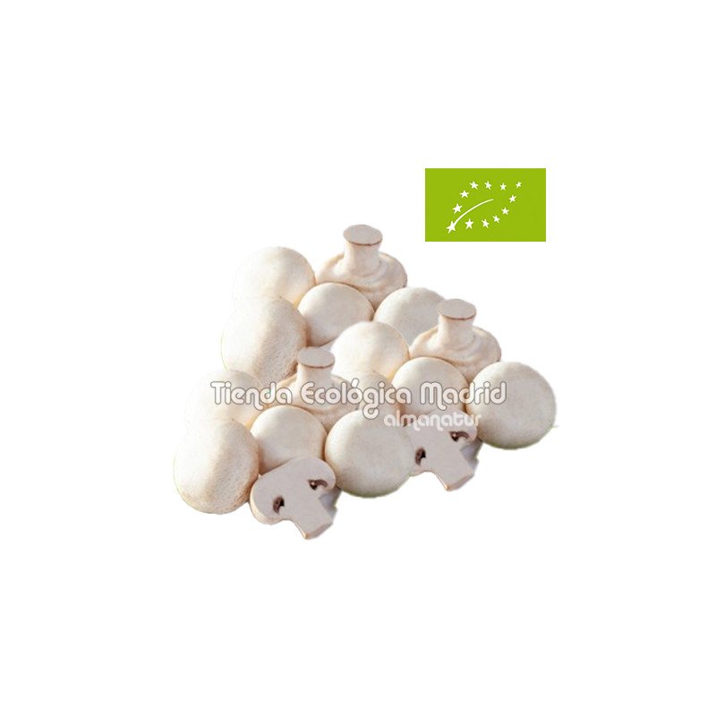 Champiñón Blanco, el Kg (Castilla La Mancha)