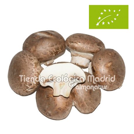 Champiñon Portobello, el Kg (La Rioja)