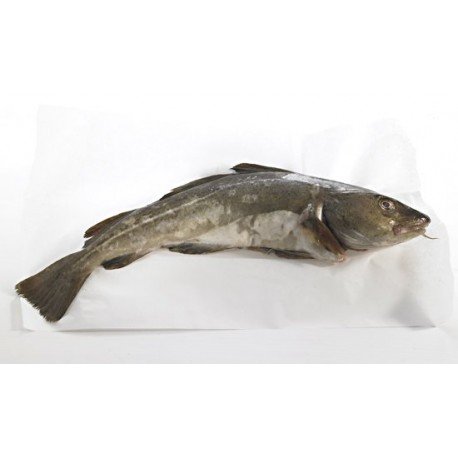 Filetes de Bacalao Fresco Nacional, el Kg