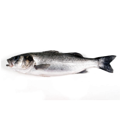 Lubina Salvaje de Anzuelo, Pieza de 1,5 a 2 Kgs Aprox