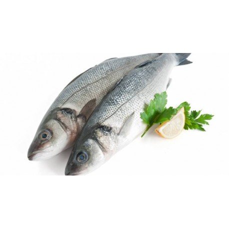 Merluza Volanta Gorda Nacional, Pieza de 3 Kgs Aprox