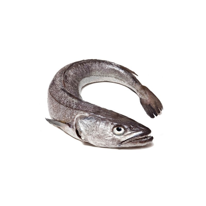 Pescadilla de Pincho Nacional, Pieza de 1 a 2 Kgs Aprox