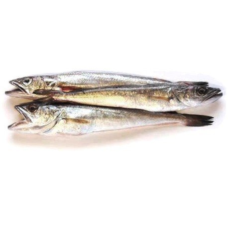 Pijota Pequeña Italiana Sin Tripa, el Kg